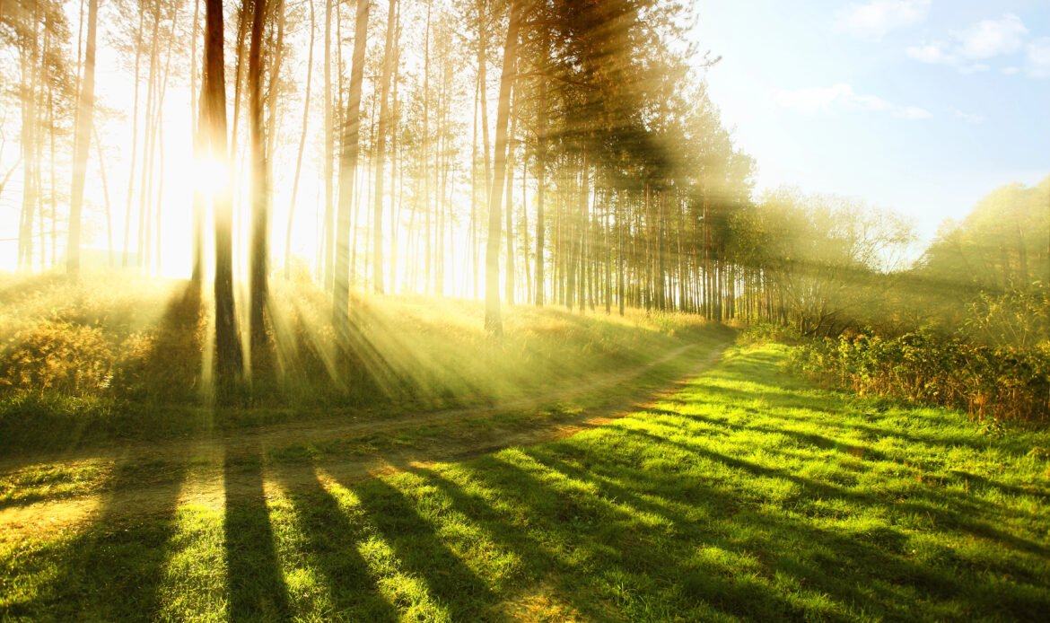 depositphotos 8089938 xl